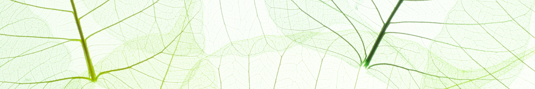 Bez názvu (30 x 5 cm)-4